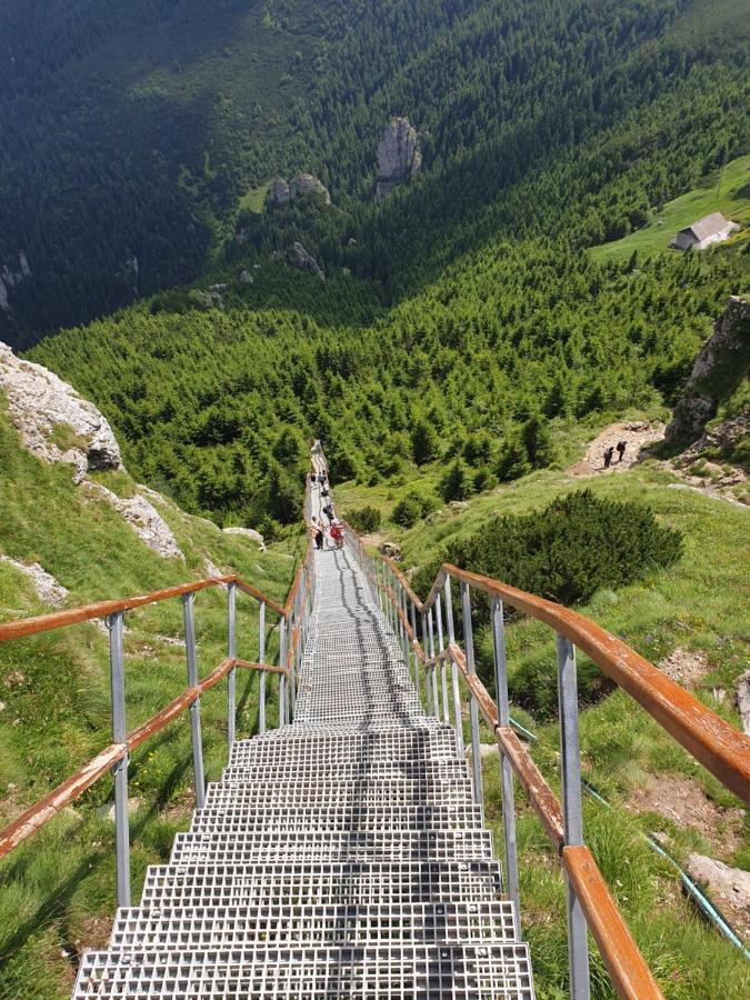 Casa Tucan Ceahlău Eksteriør billede